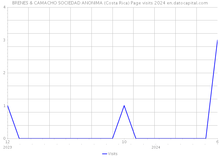 BRENES & CAMACHO SOCIEDAD ANONIMA (Costa Rica) Page visits 2024 
