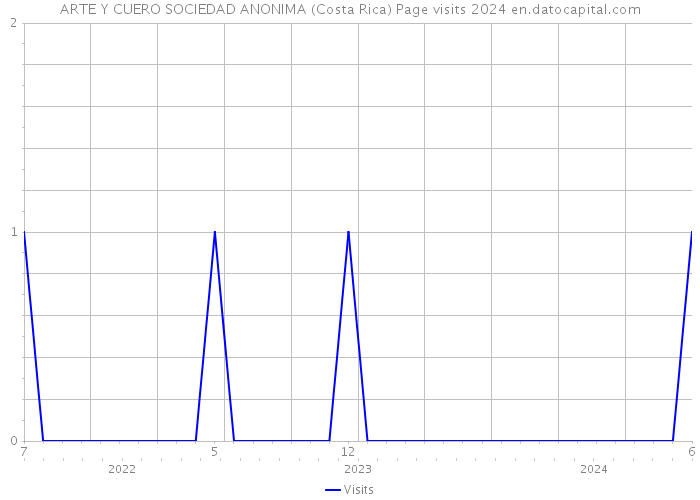 ARTE Y CUERO SOCIEDAD ANONIMA (Costa Rica) Page visits 2024 