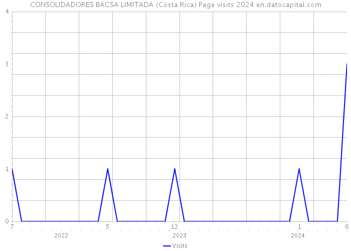 CONSOLIDADORES BACSA LIMITADA (Costa Rica) Page visits 2024 
