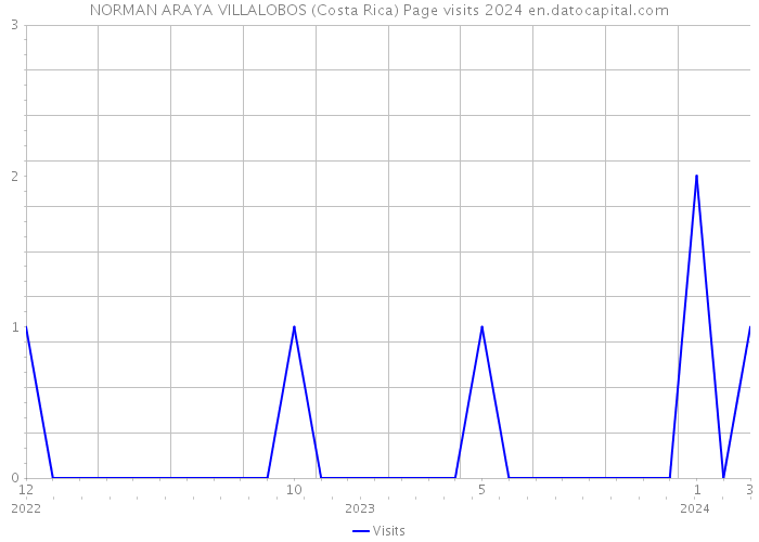 NORMAN ARAYA VILLALOBOS (Costa Rica) Page visits 2024 