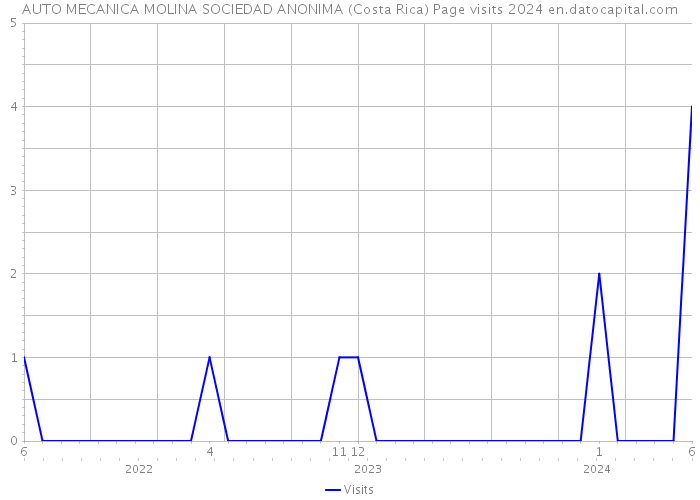 AUTO MECANICA MOLINA SOCIEDAD ANONIMA (Costa Rica) Page visits 2024 
