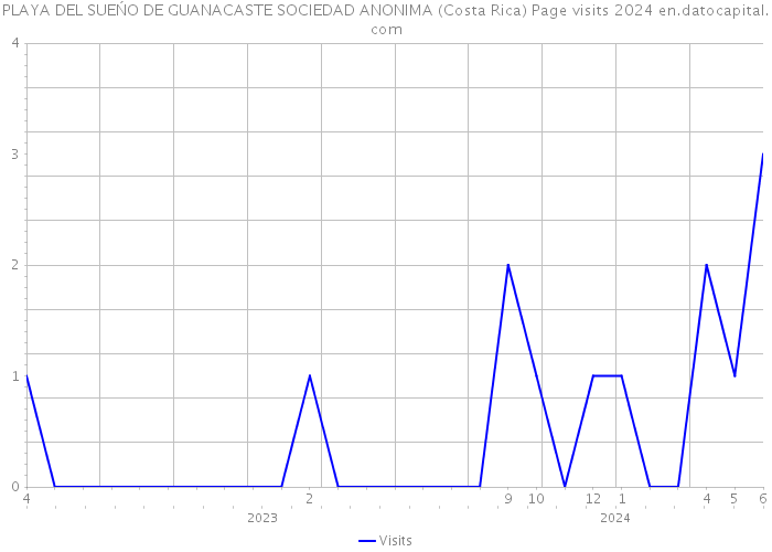 PLAYA DEL SUEŃO DE GUANACASTE SOCIEDAD ANONIMA (Costa Rica) Page visits 2024 