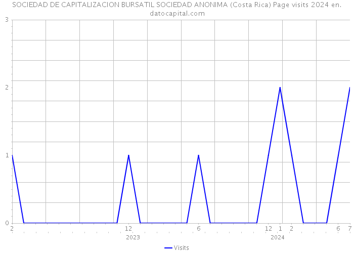 SOCIEDAD DE CAPITALIZACION BURSATIL SOCIEDAD ANONIMA (Costa Rica) Page visits 2024 