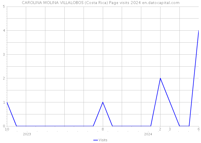 CAROLINA MOLINA VILLALOBOS (Costa Rica) Page visits 2024 