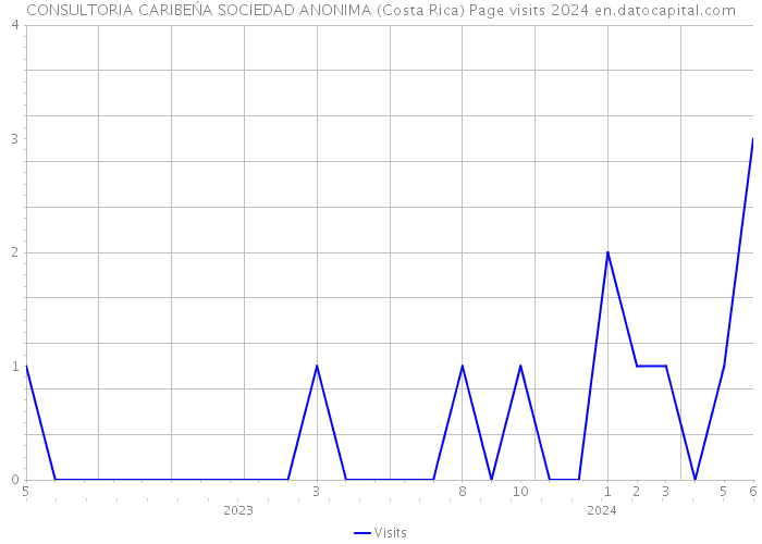 CONSULTORIA CARIBEŃA SOCIEDAD ANONIMA (Costa Rica) Page visits 2024 