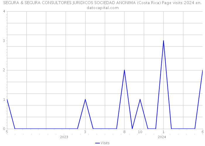 SEGURA & SEGURA CONSULTORES JURIDICOS SOCIEDAD ANONIMA (Costa Rica) Page visits 2024 