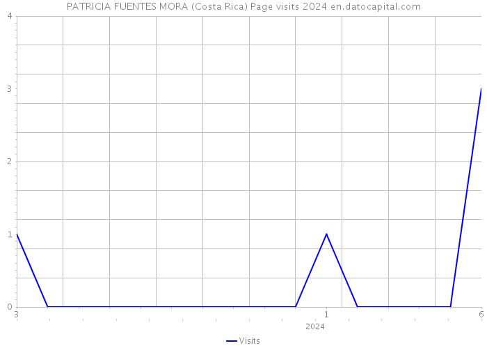PATRICIA FUENTES MORA (Costa Rica) Page visits 2024 