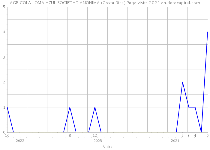 AGRICOLA LOMA AZUL SOCIEDAD ANONIMA (Costa Rica) Page visits 2024 