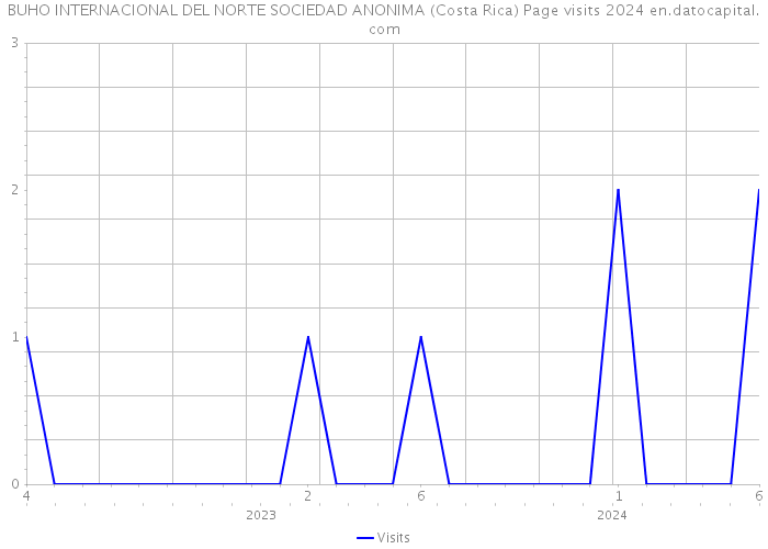 BUHO INTERNACIONAL DEL NORTE SOCIEDAD ANONIMA (Costa Rica) Page visits 2024 