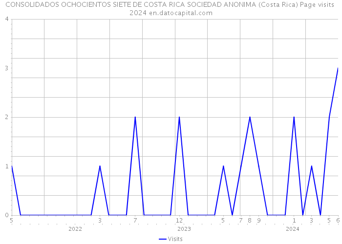 CONSOLIDADOS OCHOCIENTOS SIETE DE COSTA RICA SOCIEDAD ANONIMA (Costa Rica) Page visits 2024 
