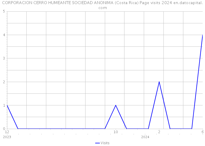 CORPORACION CERRO HUMEANTE SOCIEDAD ANONIMA (Costa Rica) Page visits 2024 