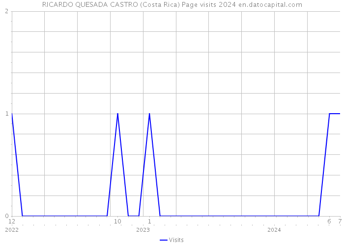 RICARDO QUESADA CASTRO (Costa Rica) Page visits 2024 