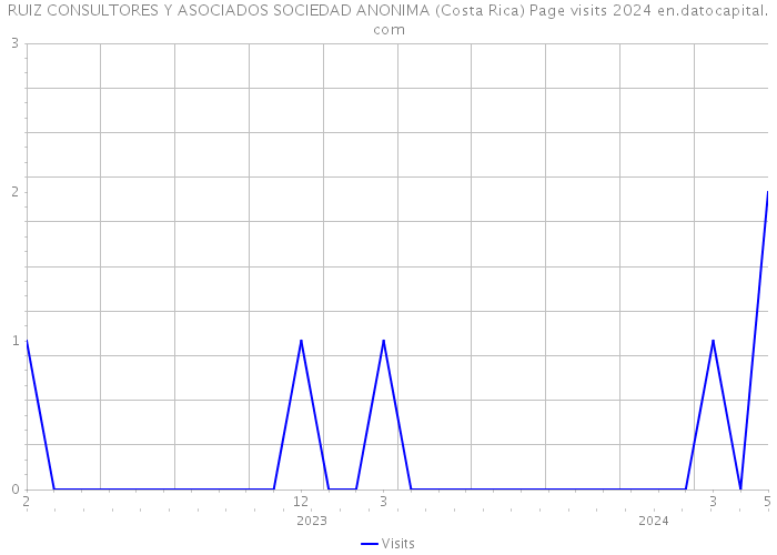 RUIZ CONSULTORES Y ASOCIADOS SOCIEDAD ANONIMA (Costa Rica) Page visits 2024 