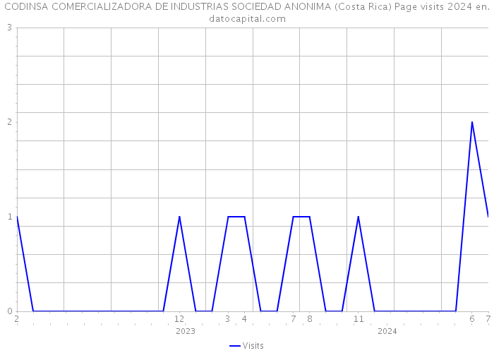 CODINSA COMERCIALIZADORA DE INDUSTRIAS SOCIEDAD ANONIMA (Costa Rica) Page visits 2024 