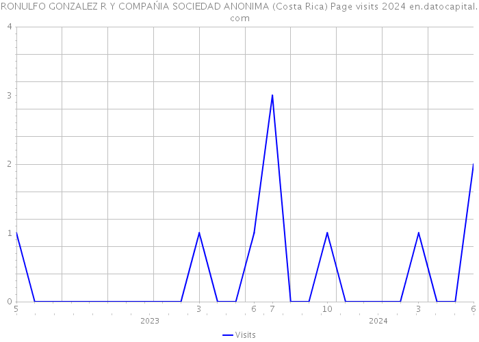 RONULFO GONZALEZ R Y COMPAŃIA SOCIEDAD ANONIMA (Costa Rica) Page visits 2024 
