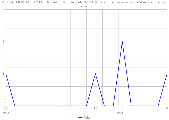 VER VAL MERCADEO Y PUBLICIDAD SOCIEDAD ANONIMA (Costa Rica) Page visits 2024 