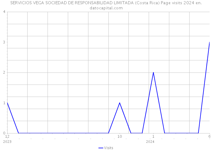 SERVICIOS VEGA SOCIEDAD DE RESPONSABILIDAD LIMITADA (Costa Rica) Page visits 2024 