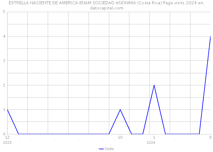 ESTRELLA NACIENTE DE AMERICA ENAM SOCIEDAD ANONIMA (Costa Rica) Page visits 2024 