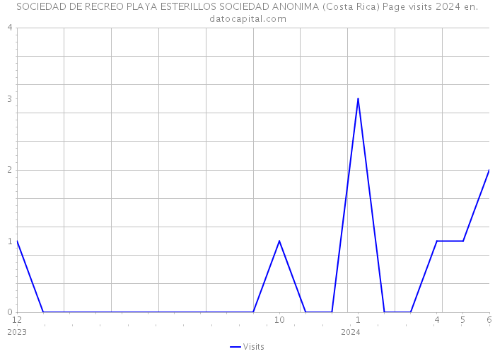 SOCIEDAD DE RECREO PLAYA ESTERILLOS SOCIEDAD ANONIMA (Costa Rica) Page visits 2024 