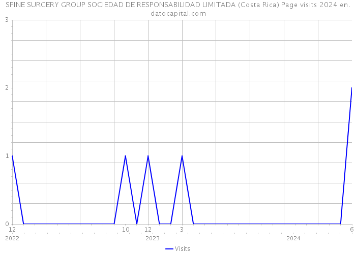 SPINE SURGERY GROUP SOCIEDAD DE RESPONSABILIDAD LIMITADA (Costa Rica) Page visits 2024 