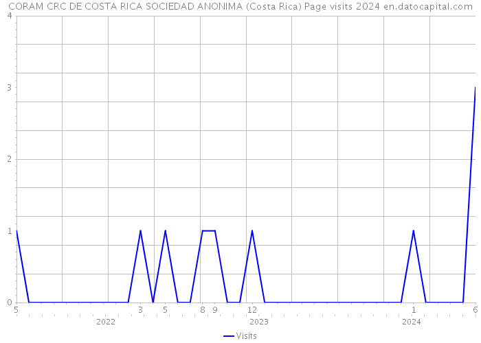 CORAM CRC DE COSTA RICA SOCIEDAD ANONIMA (Costa Rica) Page visits 2024 