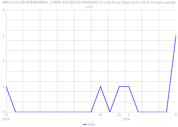 SERVICIOS EN ENFERMERIA YORPA SOCIEDAD ANONIMA (Costa Rica) Page visits 2024 