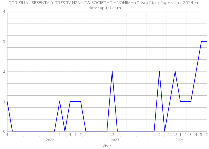 QDR FILIAL SESENTA Y TRES TANZANITA SOCIEDAD ANONIMA (Costa Rica) Page visits 2024 