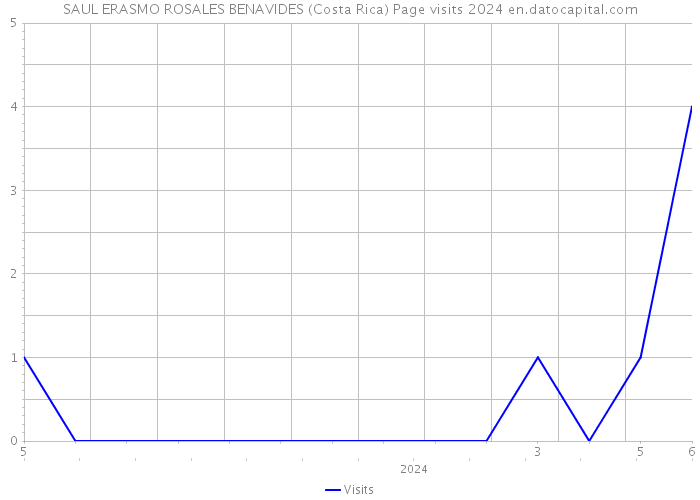 SAUL ERASMO ROSALES BENAVIDES (Costa Rica) Page visits 2024 