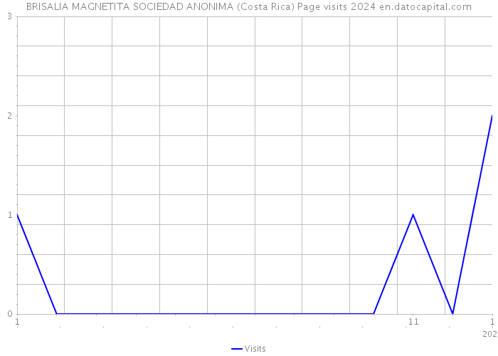 BRISALIA MAGNETITA SOCIEDAD ANONIMA (Costa Rica) Page visits 2024 