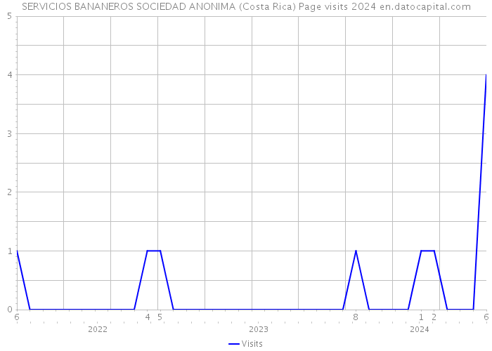 SERVICIOS BANANEROS SOCIEDAD ANONIMA (Costa Rica) Page visits 2024 