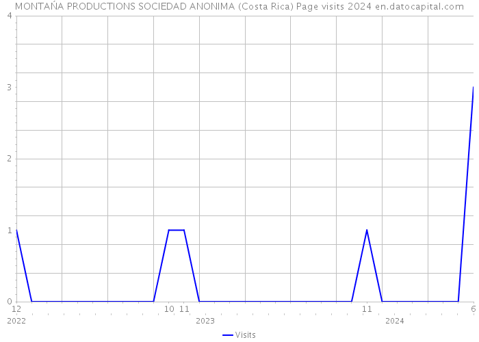 MONTAŃA PRODUCTIONS SOCIEDAD ANONIMA (Costa Rica) Page visits 2024 