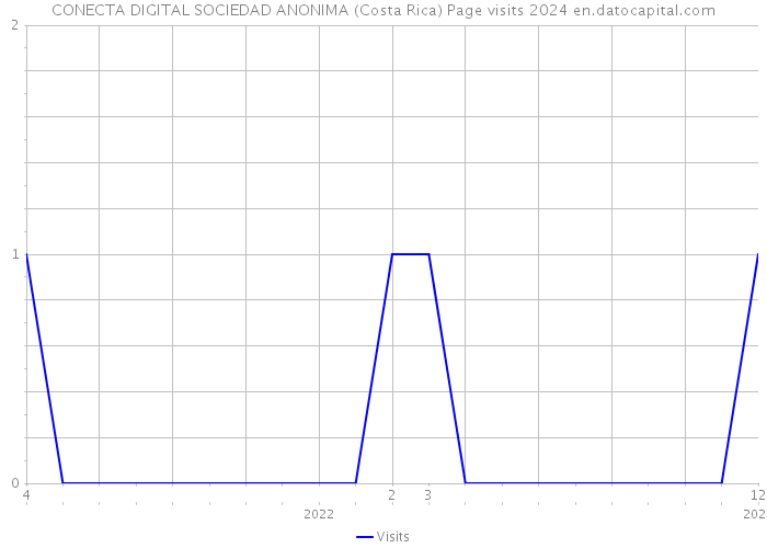 CONECTA DIGITAL SOCIEDAD ANONIMA (Costa Rica) Page visits 2024 