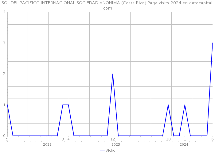 SOL DEL PACIFICO INTERNACIONAL SOCIEDAD ANONIMA (Costa Rica) Page visits 2024 