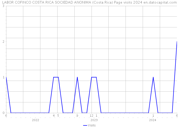 LABOR COFINCO COSTA RICA SOCIEDAD ANONIMA (Costa Rica) Page visits 2024 