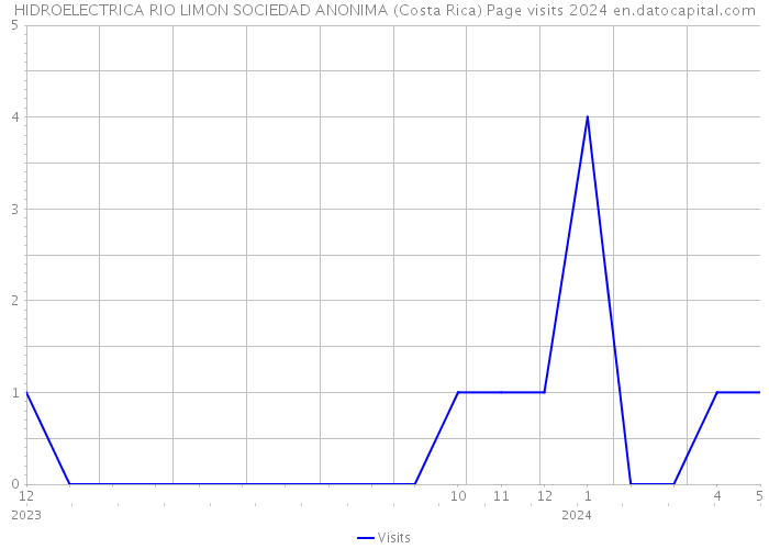 HIDROELECTRICA RIO LIMON SOCIEDAD ANONIMA (Costa Rica) Page visits 2024 