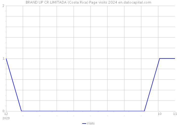 BRAND UP CR LIMITADA (Costa Rica) Page visits 2024 