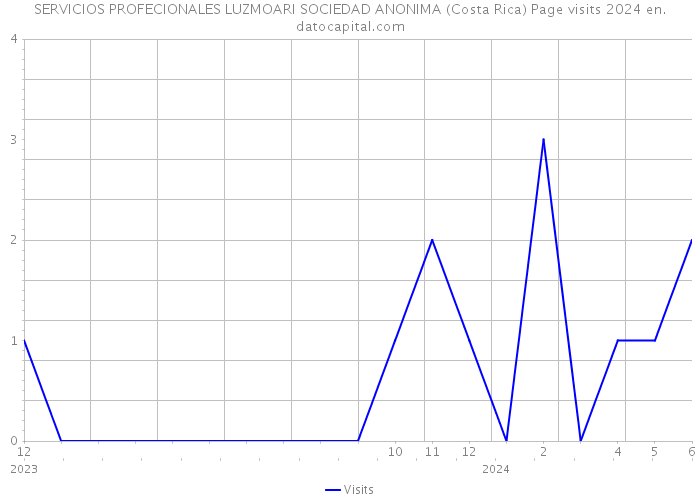 SERVICIOS PROFECIONALES LUZMOARI SOCIEDAD ANONIMA (Costa Rica) Page visits 2024 