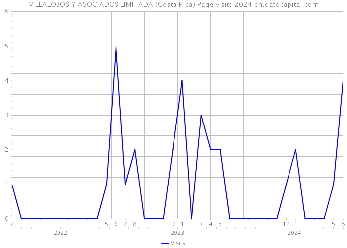 VILLALOBOS Y ASOCIADOS LIMITADA (Costa Rica) Page visits 2024 