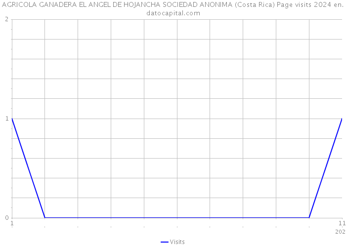 AGRICOLA GANADERA EL ANGEL DE HOJANCHA SOCIEDAD ANONIMA (Costa Rica) Page visits 2024 