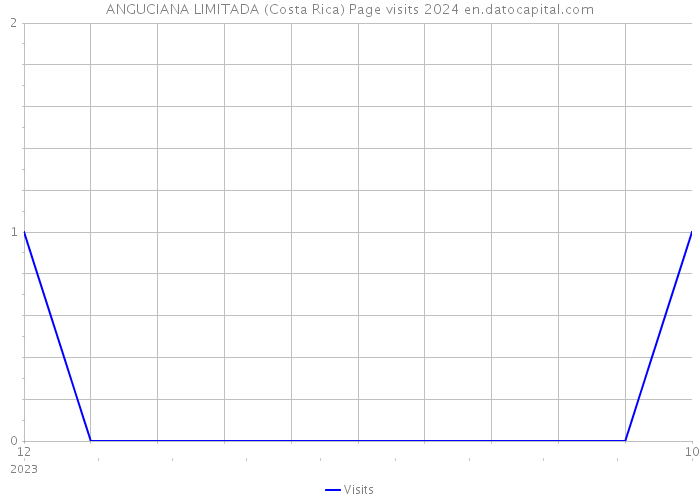 ANGUCIANA LIMITADA (Costa Rica) Page visits 2024 