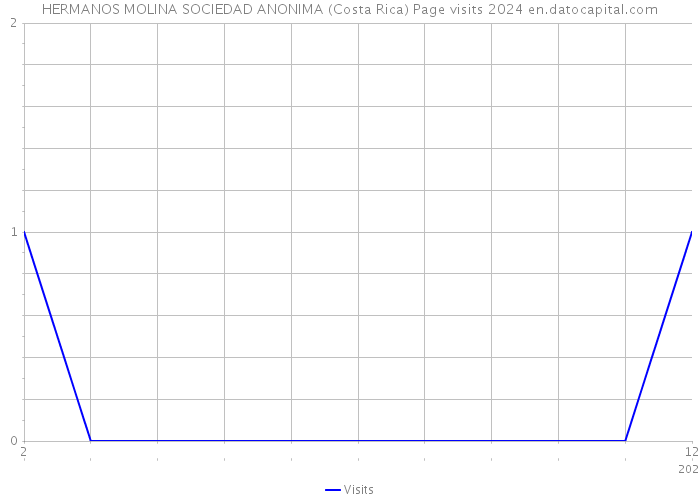 HERMANOS MOLINA SOCIEDAD ANONIMA (Costa Rica) Page visits 2024 