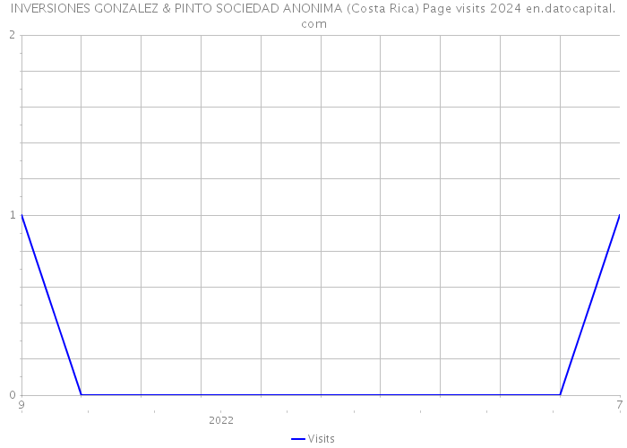 INVERSIONES GONZALEZ & PINTO SOCIEDAD ANONIMA (Costa Rica) Page visits 2024 