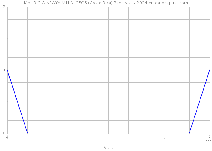 MAURICIO ARAYA VILLALOBOS (Costa Rica) Page visits 2024 