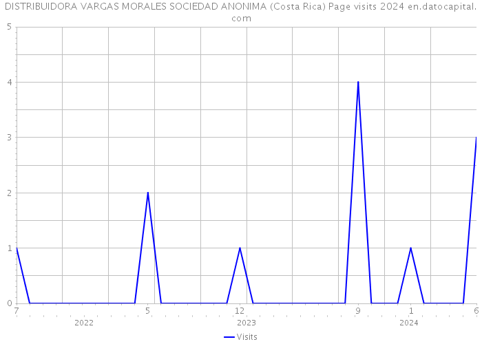 DISTRIBUIDORA VARGAS MORALES SOCIEDAD ANONIMA (Costa Rica) Page visits 2024 