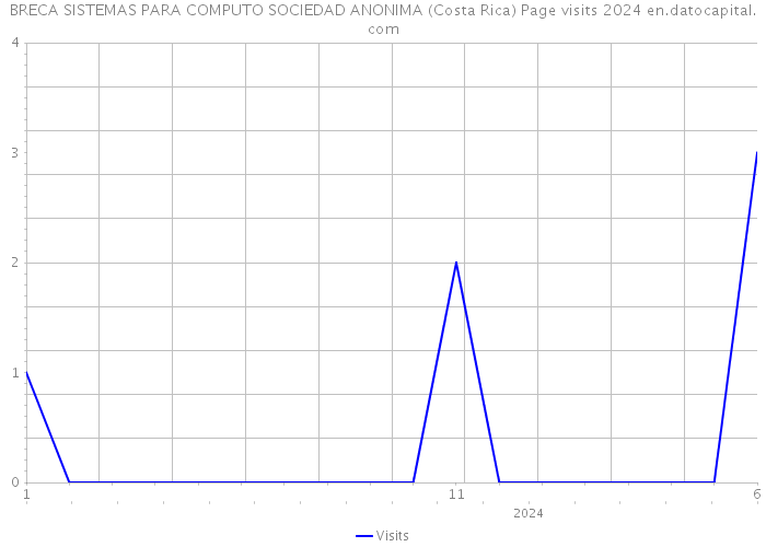 BRECA SISTEMAS PARA COMPUTO SOCIEDAD ANONIMA (Costa Rica) Page visits 2024 