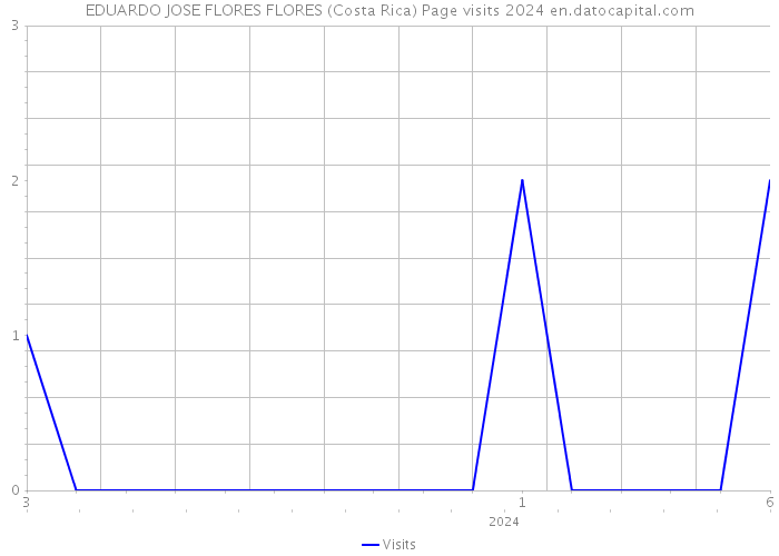 EDUARDO JOSE FLORES FLORES (Costa Rica) Page visits 2024 