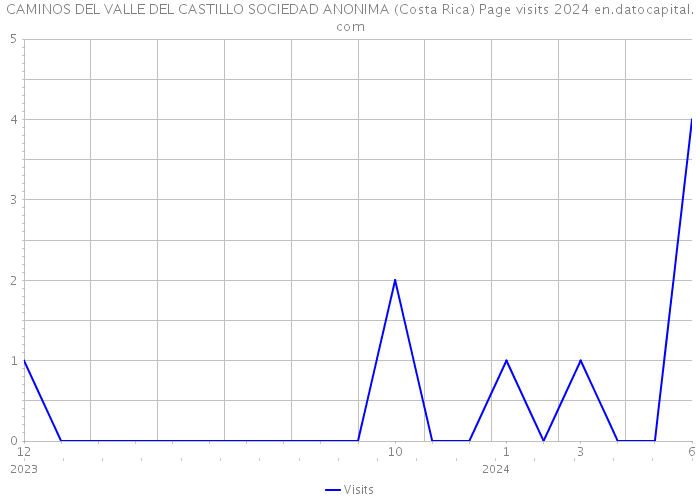 CAMINOS DEL VALLE DEL CASTILLO SOCIEDAD ANONIMA (Costa Rica) Page visits 2024 