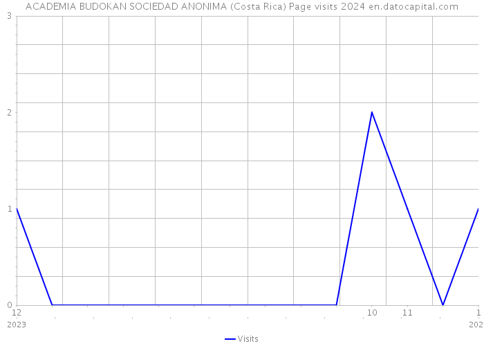 ACADEMIA BUDOKAN SOCIEDAD ANONIMA (Costa Rica) Page visits 2024 