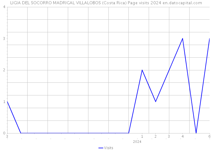 LIGIA DEL SOCORRO MADRIGAL VILLALOBOS (Costa Rica) Page visits 2024 