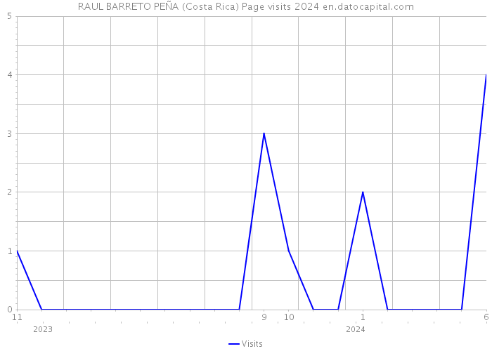 RAUL BARRETO PEÑA (Costa Rica) Page visits 2024 